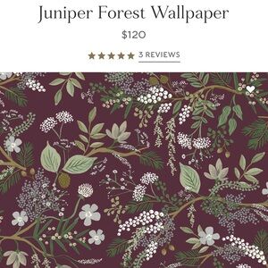 Rifle Paper Co. Burgundy and Green Floral Wallpaper